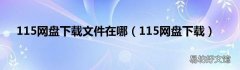 115网盘下载 115网盘下载文件在哪