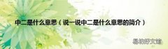 说一说中二是什么意思的简介 中二是什么意思