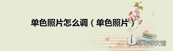 单色照片 单色照片怎么调