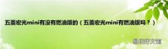 五菱宏光mini有燃油版吗？ 五菱宏光mini有没有燃油版的