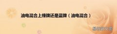 油电混合 油电混合上绿牌还是蓝牌