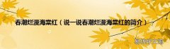 说一说春潮烂漫海棠红的简介 春潮烂漫海棠红