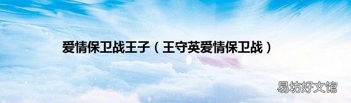 王守英爱情保卫战 爱情保卫战王子