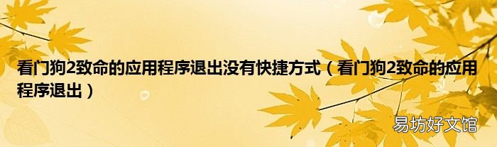 看门狗2致命的应用程序退出 看门狗2致命的应用程序退出没有快捷方式