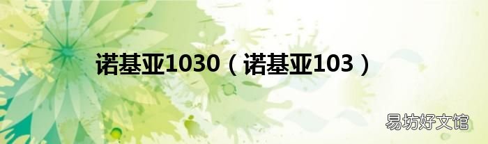 诺基亚103 诺基亚1030
