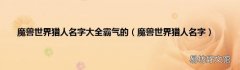 魔兽世界猎人名字 魔兽世界猎人名字大全霸气的