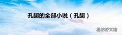 孔超 孔超的全部小说