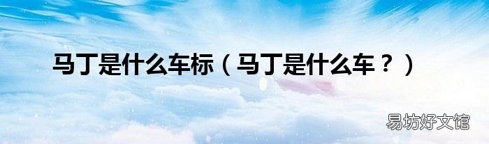 马丁是什么车? 马丁是什么车标