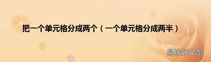 一个单元格分成两半 把一个单元格分成两个