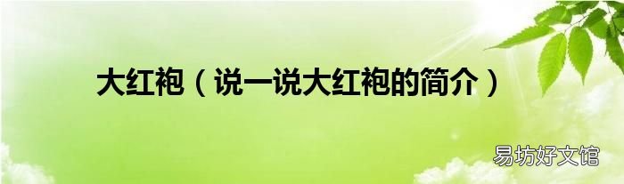 说一说大红袍的简介 大红袍