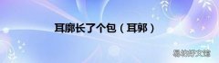 耳郭 耳廓长了个包
