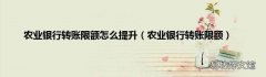 农业银行转账限额 农业银行转账限额怎么提升