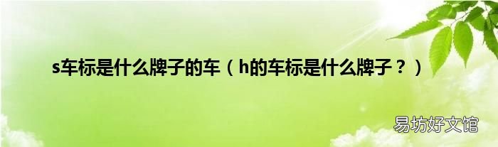h的车标是什么牌子? s车标是什么牌子的车
