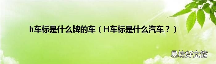 H车标是什么汽车？ h车标是什么牌的车