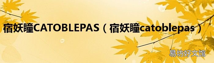 宿妖瞳catoblepas 宿妖瞳CATOBLEPAS