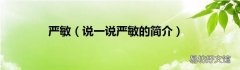 说一说严敏的简介 严敏