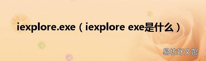 iexplore exe是什么 iexplore.exe