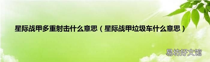星际战甲垃圾车什么意思 星际战甲多重射击什么意思