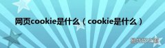 cookie是什么 网页cookie是什么