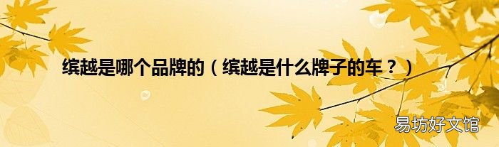 缤越是什么牌子的车? 缤越是哪个品牌的