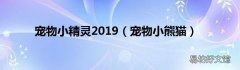 宠物小熊猫 宠物小精灵2019
