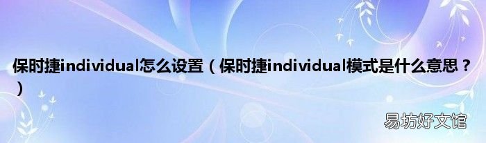 保时捷individual模式是什么意思? 保时捷individual怎么设置