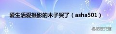 asha501 爱生活爱摄影的木子哭了
