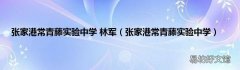 张家港常青藤实验中学 张家港常青藤实验中学 林军
