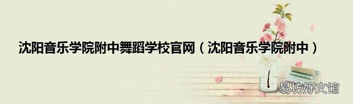 沈阳音乐学院附中 沈阳音乐学院附中舞蹈学校官网