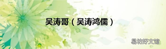 吴涛鸿儒 吴涛哥