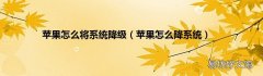苹果怎么降系统 苹果怎么将系统降级