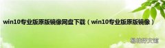 win10专业版原版镜像 win10专业版原版镜像网盘下载
