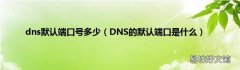 DNS的默认端口是什么 dns默认端口号多少