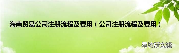 公司注册流程及费用 海南贸易公司注册流程及费用