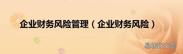 企业财务风险 企业财务风险管理