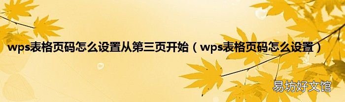 wps表格页码怎么设置 wps表格页码怎么设置从第三页开始