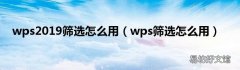 wps筛选怎么用 wps2019筛选怎么用