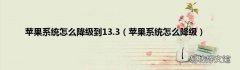 苹果系统怎么降级 苹果系统怎么降级到13.3