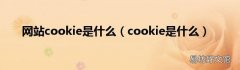 cookie是什么 网站cookie是什么