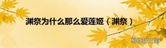 渊祭 渊祭为什么那么爱莲姬
