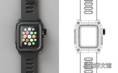 Apple Watch上季度销量跃升30%