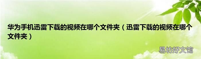 迅雷下载的视频在哪个文件夹 华为手机迅雷下载的视频在哪个文件夹