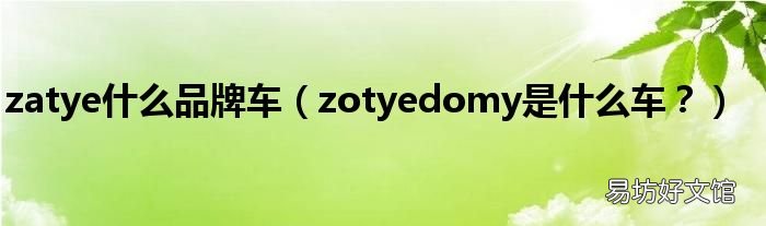 zotyedomy是什么车? zatye什么品牌车