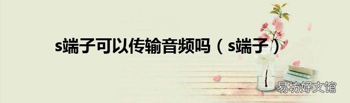s端子 s端子可以传输音频吗