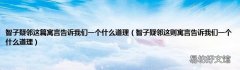 智子疑邻这则寓言告诉我们一个什么道理 智子疑邻这篇寓言告诉我们一个什么道理