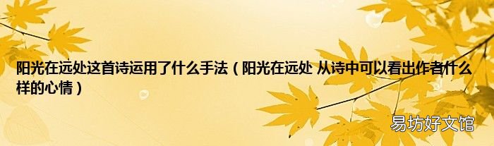 阳光在远处 从诗中可以看出作者什么样的心情 阳光在远处这首诗运用了什么手法