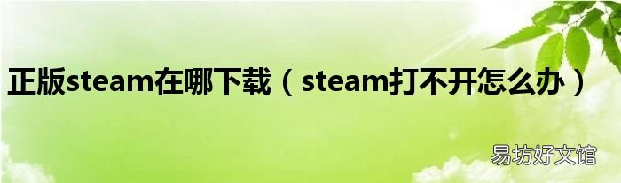 steam打不开怎么办 正版steam在哪下载