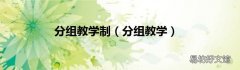 分组教学 分组教学制