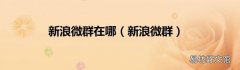 新浪微群 新浪微群在哪