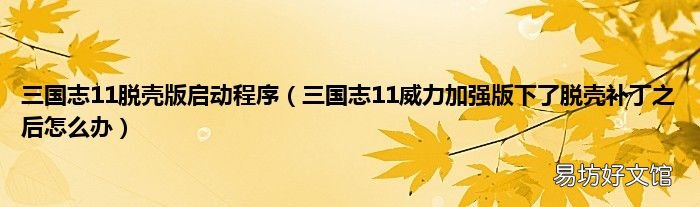 三国志11威力加强版下了脱壳补丁之后怎么办 三国志11脱壳版启动程序